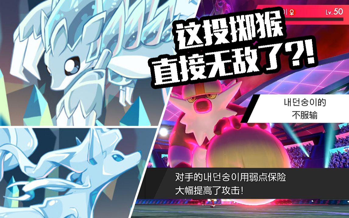 【宝可梦剑盾63单打s11】雪天兄弟(其实是姐妹)帅就完事了,能不能打不
