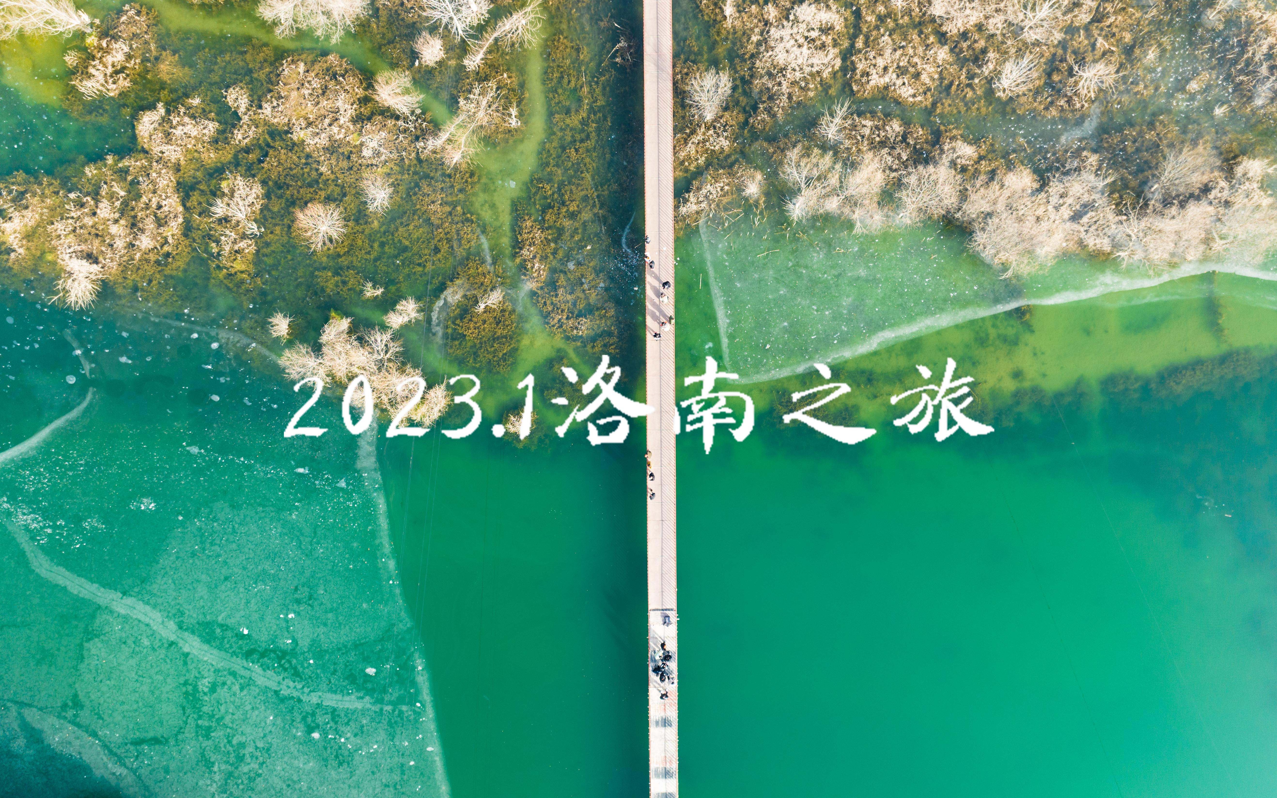 2023.1洛南之旅哔哩哔哩bilibili