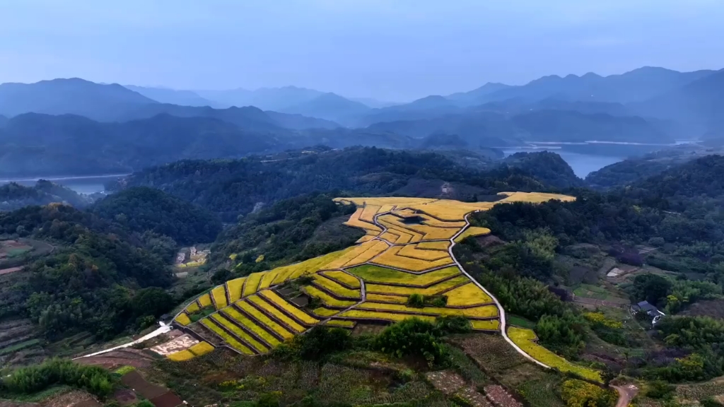 新昌高来村,仿佛踏入宫崎骏的漫画中.