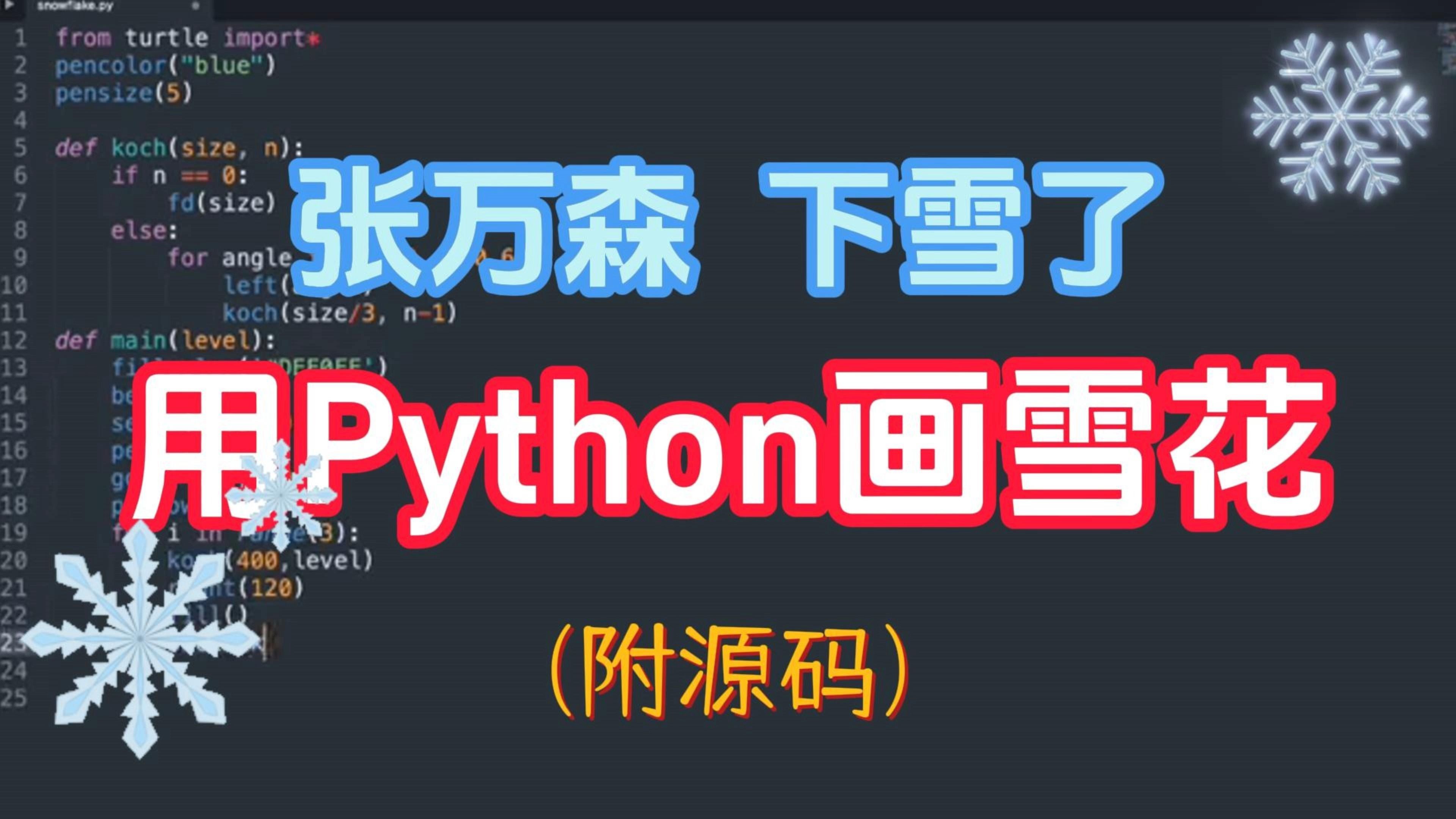 科赫雪花 python图片