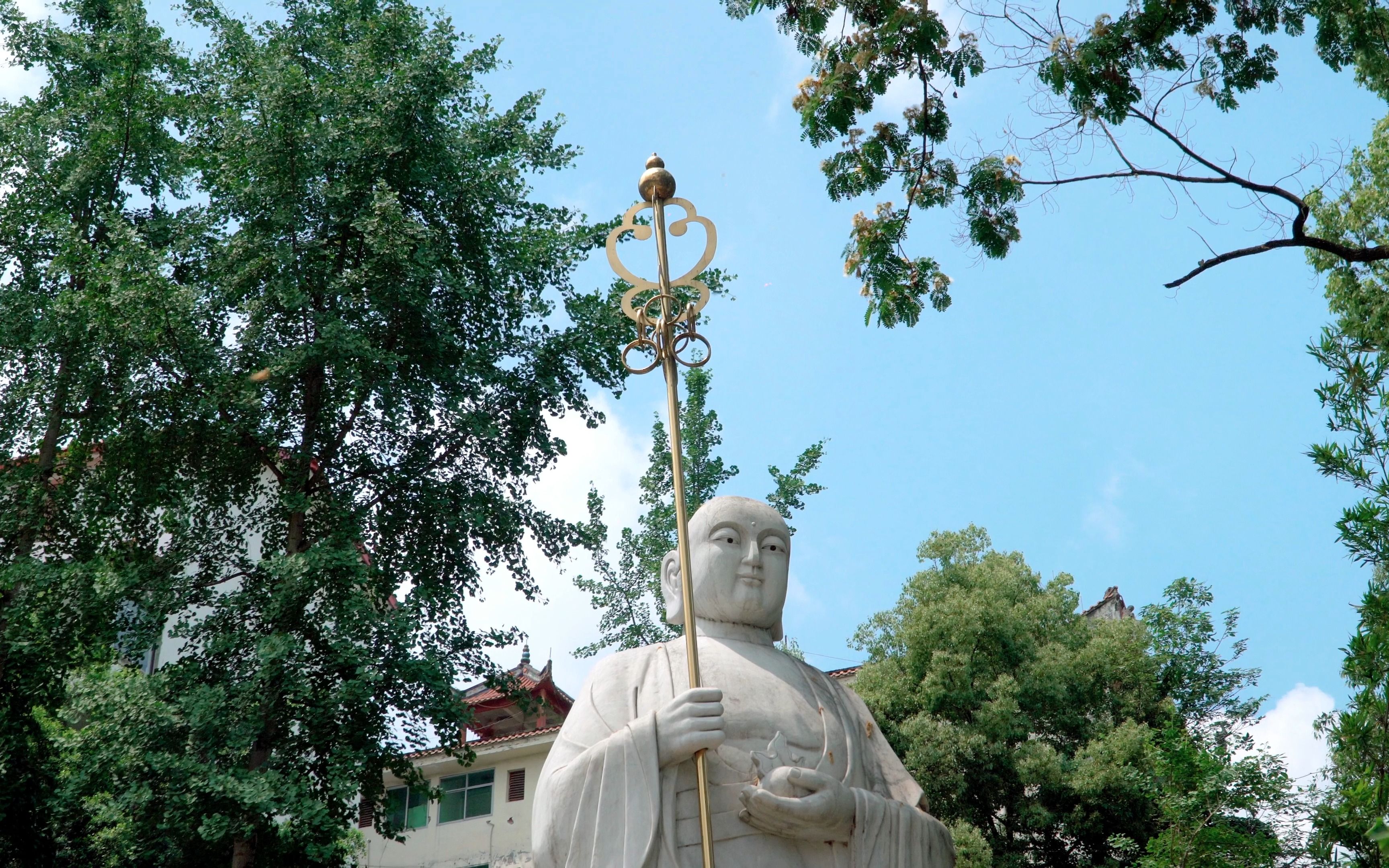 重庆石林寺徒步摘树莓——索尼a6400哔哩哔哩bilibili