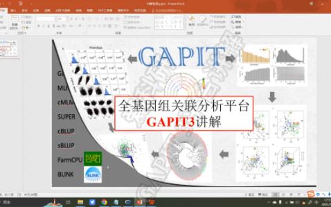 全基因组关联分析平台GAPIT3讲解哔哩哔哩bilibili