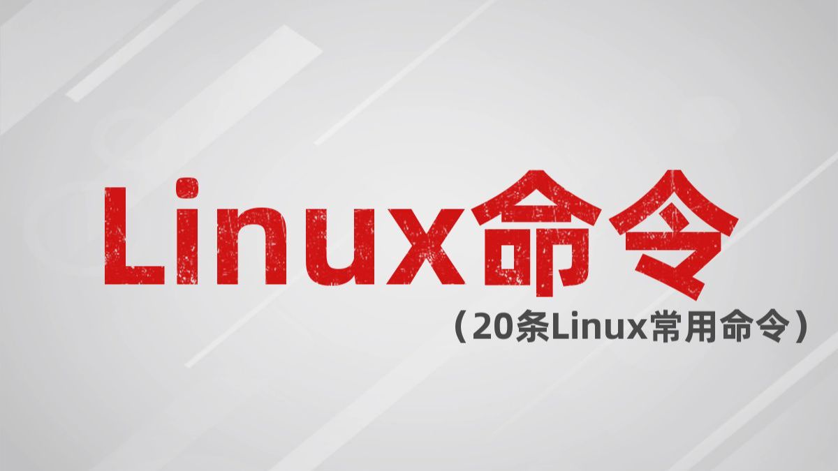 小白也能听懂的20条Linux常用命令,从零开始手把手教你学会