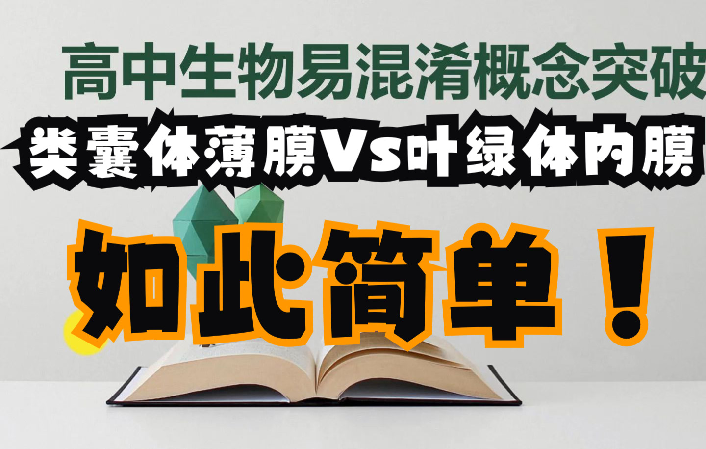 9.高中生物易混淆概念——类囊体薄膜与叶绿体内膜哔哩哔哩bilibili