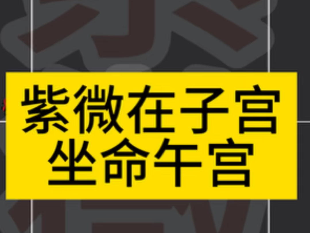 紫微斗数紫微在子坐命贪狼在午哔哩哔哩bilibili