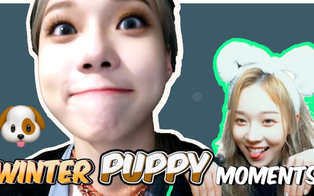 winter金玟庭一只可爱的狗狗