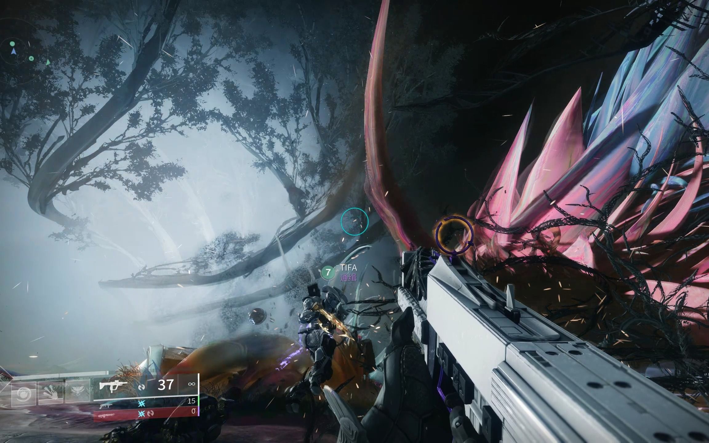 【命运2/dayone录像】梦魇根源dayone尾王通关录像(队友视角)