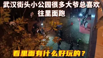 Download Video: 武汉街头小公园，很多大爷总喜欢往里面跑，看看里面有什么好玩的