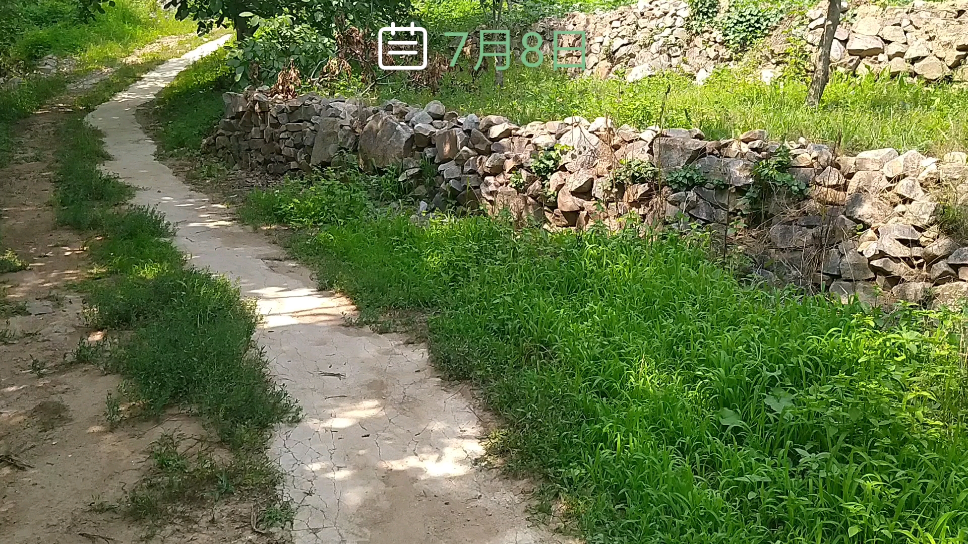 伊波特山⛰️哔哩哔哩bilibili