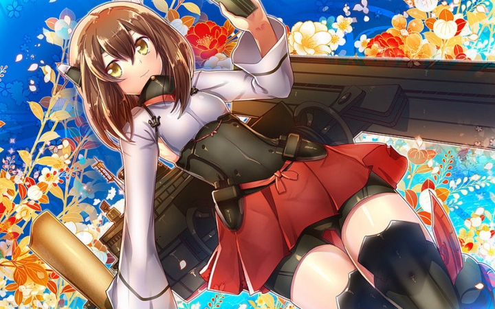 【大国重器】纪念那些世界上最大的货轮 - emma maersk