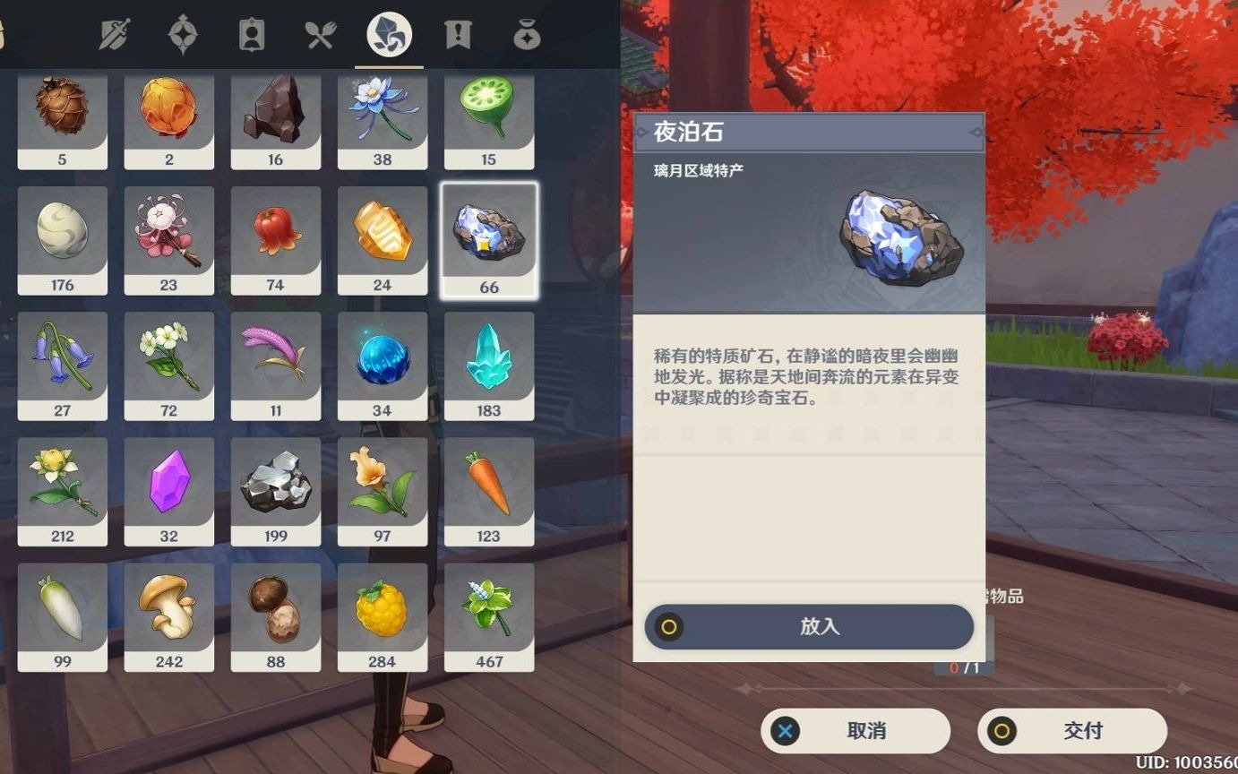 原神-岩游记夜泊石