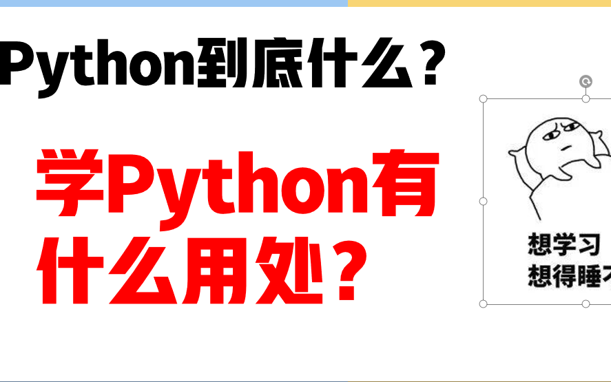 Python到底是什么?学会能做些什么?哔哩哔哩bilibili