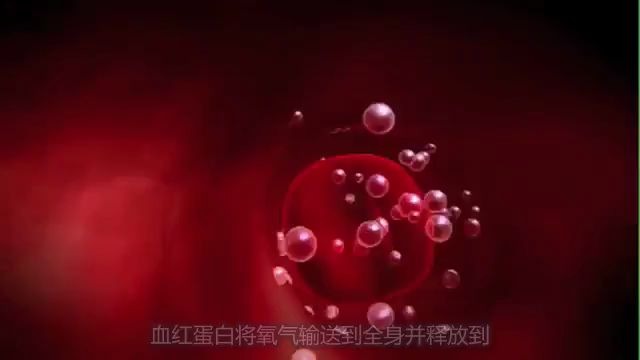 [图]The Role of Red Blood Cells in Anemia 贫血&红细胞-英文字幕