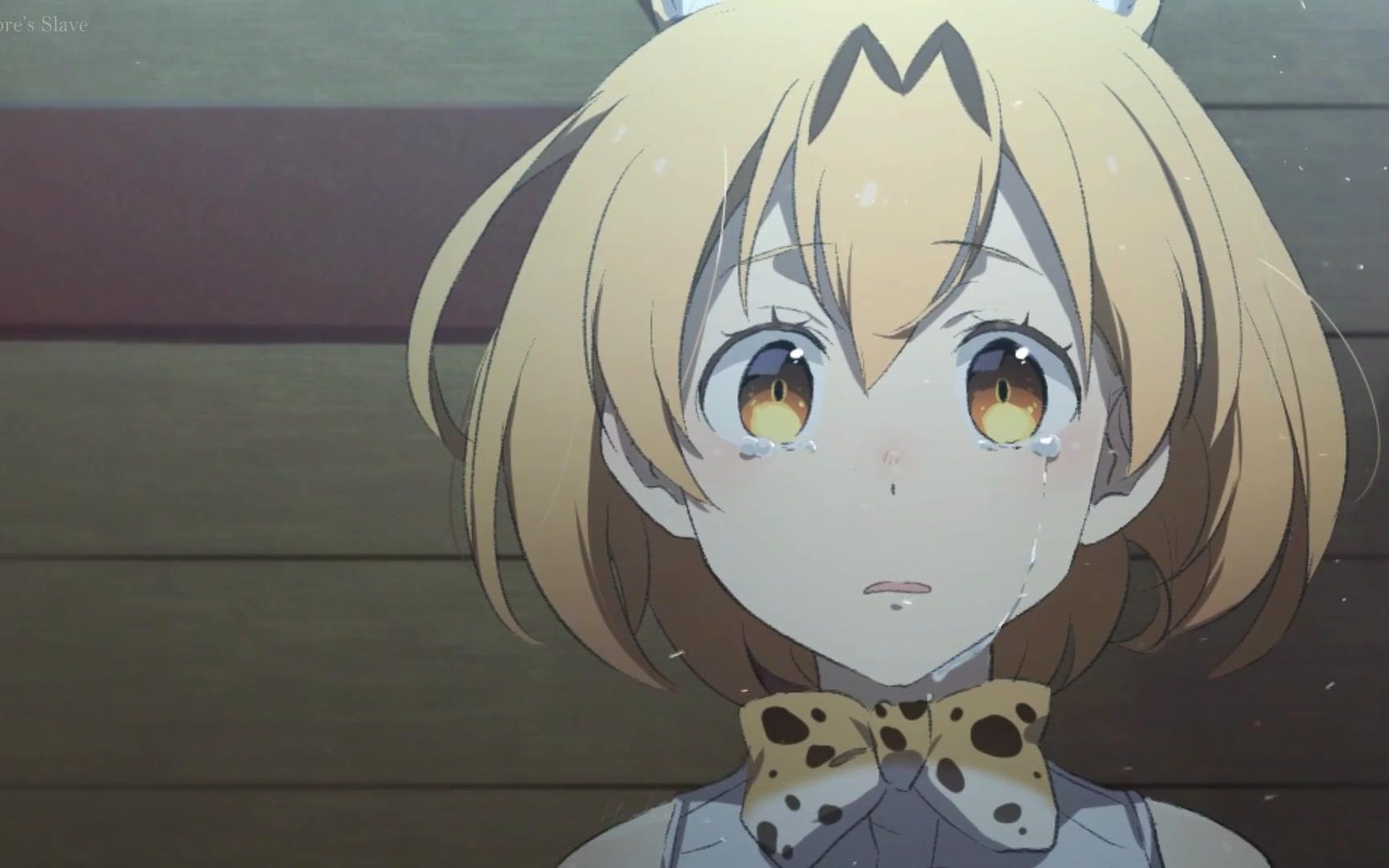 黑暗伤感系动物朋友的歌