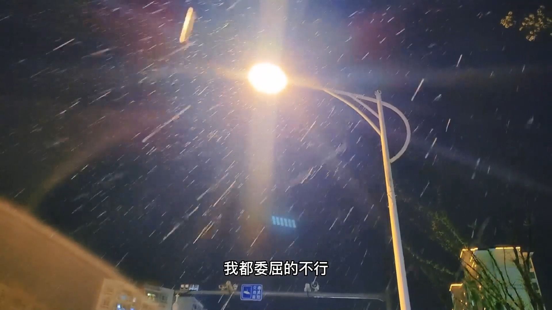 愛的時候大雨滂沱電閃雷鳴我赤腳提起裙襬一頭栽進黑夜在沒有傘的雨裡