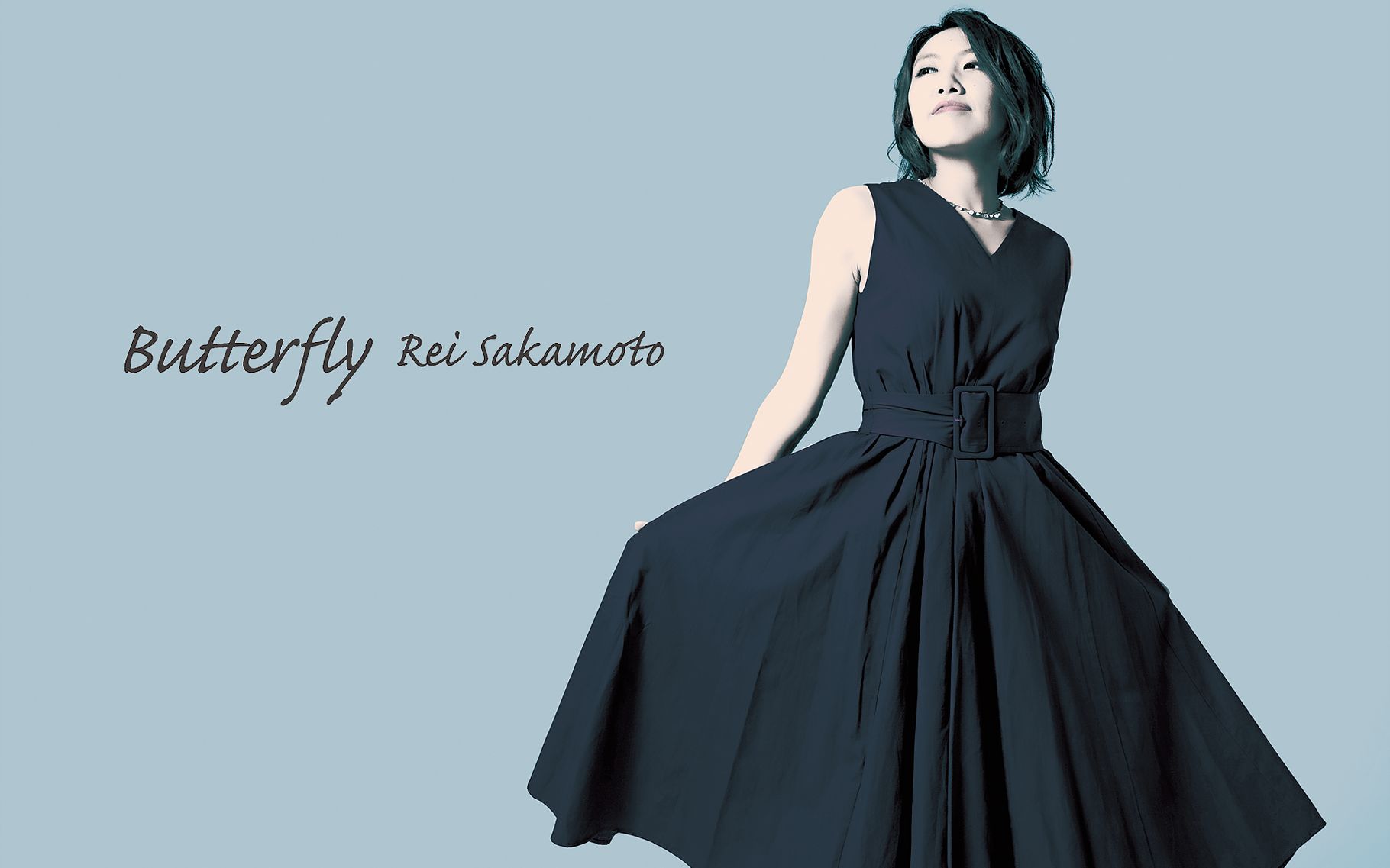 坂本丽衣NewAlbum「Butterfly」哔哩哔哩bilibili