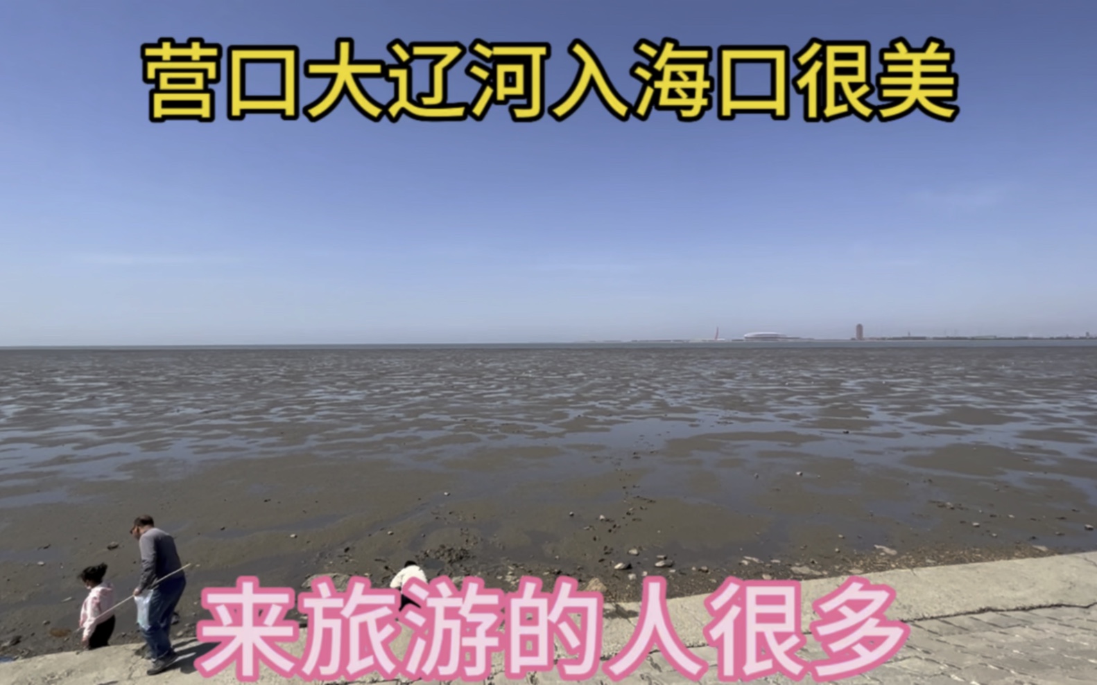 营口大辽河入海口很美,很壮观,来旅游玩的人很多.
