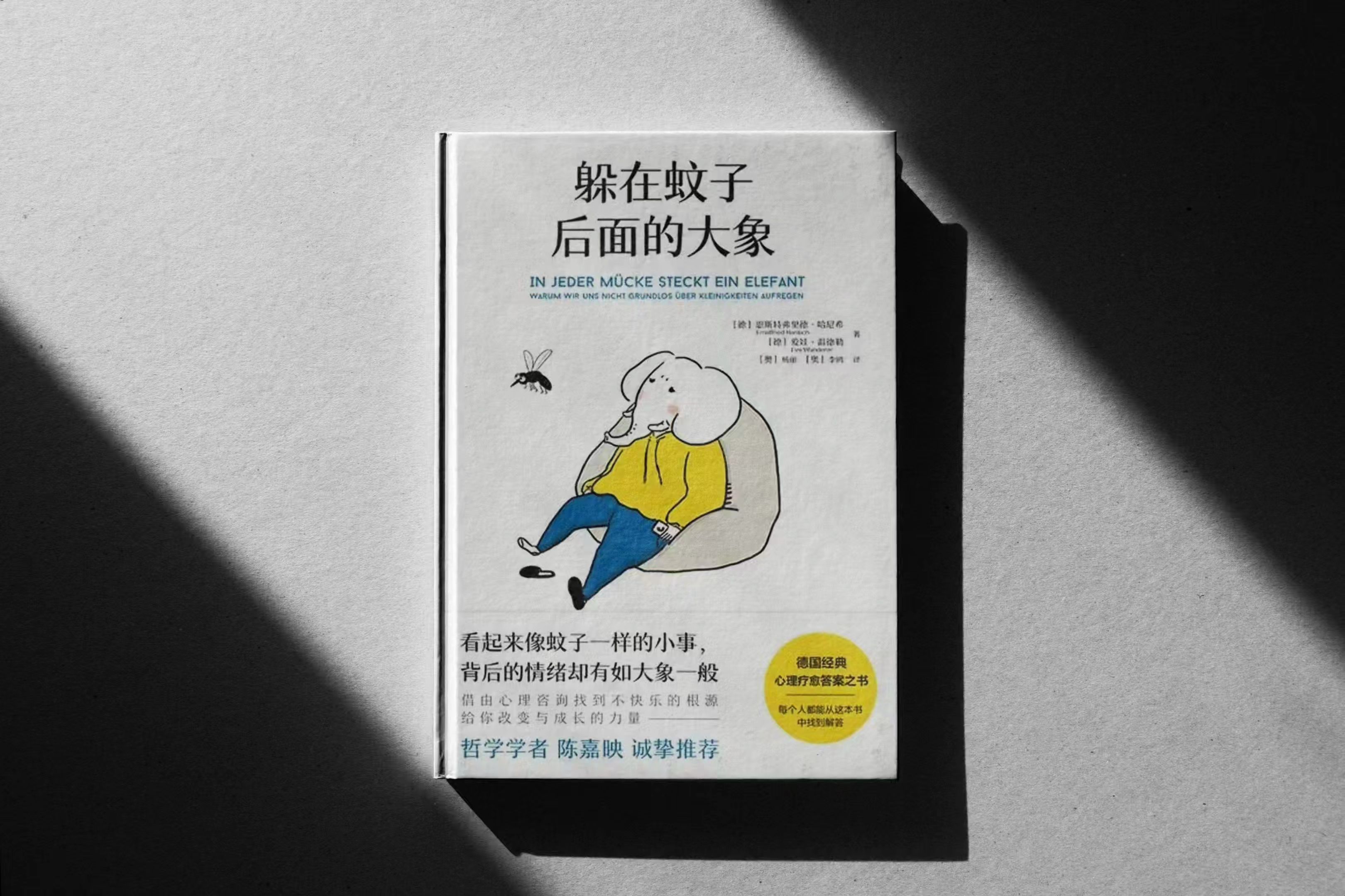 《躲在蚊子背后的大象》封面