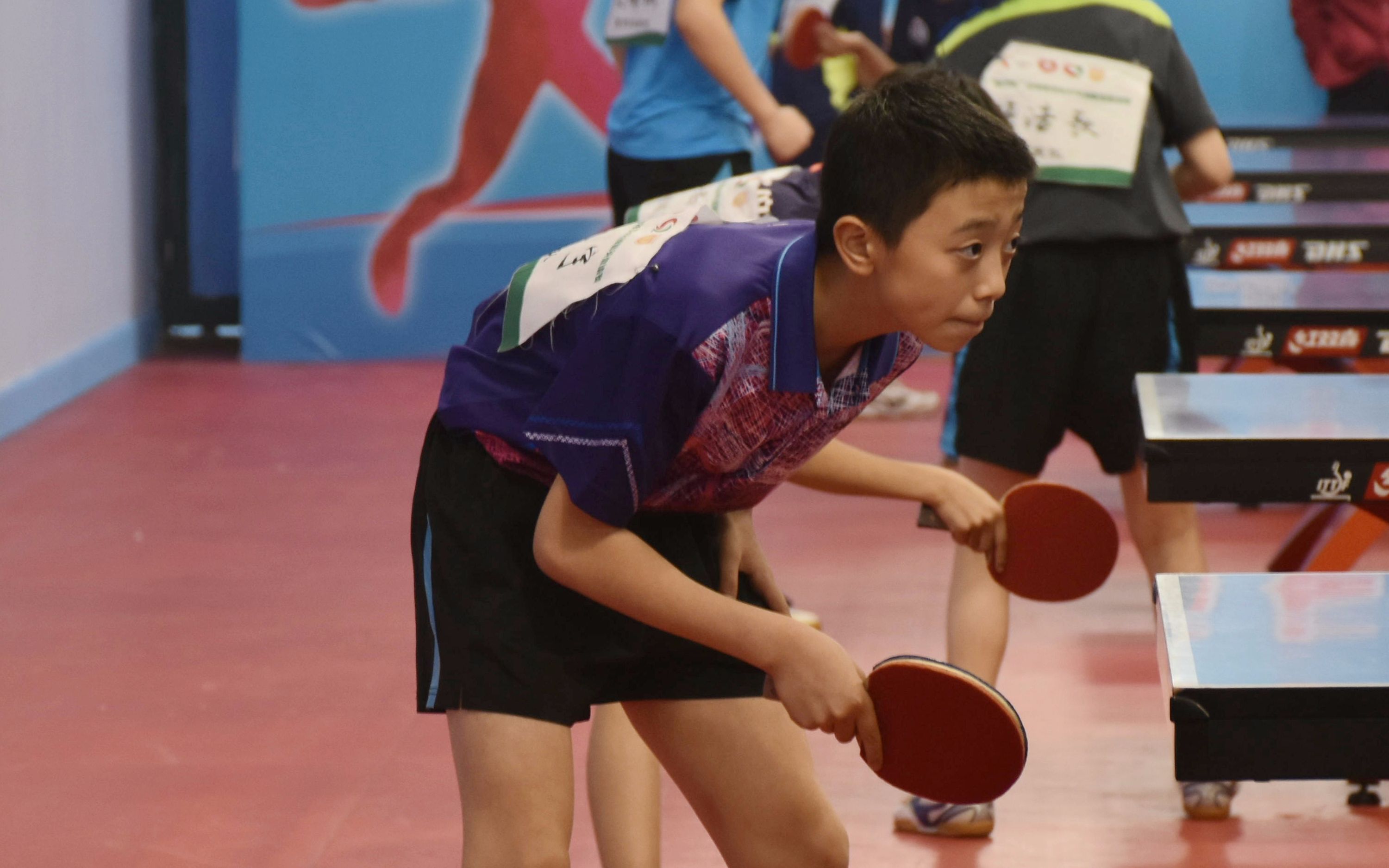 2017 崧泽杯 陈垣宇_哔哩哔哩 (゜-゜)つロ 干杯~-bilibili