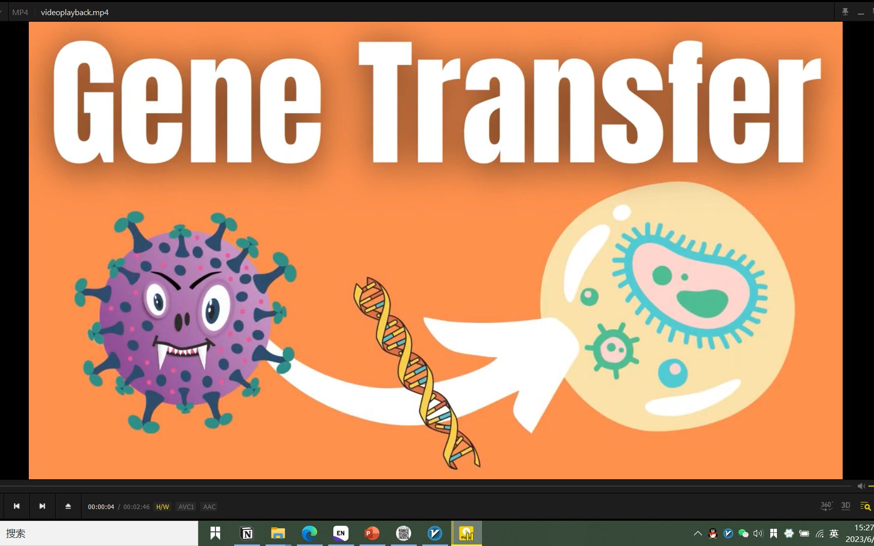 水平基因转移Horizontal Gene Transfer (Transformation, Conjugation, Transduction)哔哩哔哩bilibili