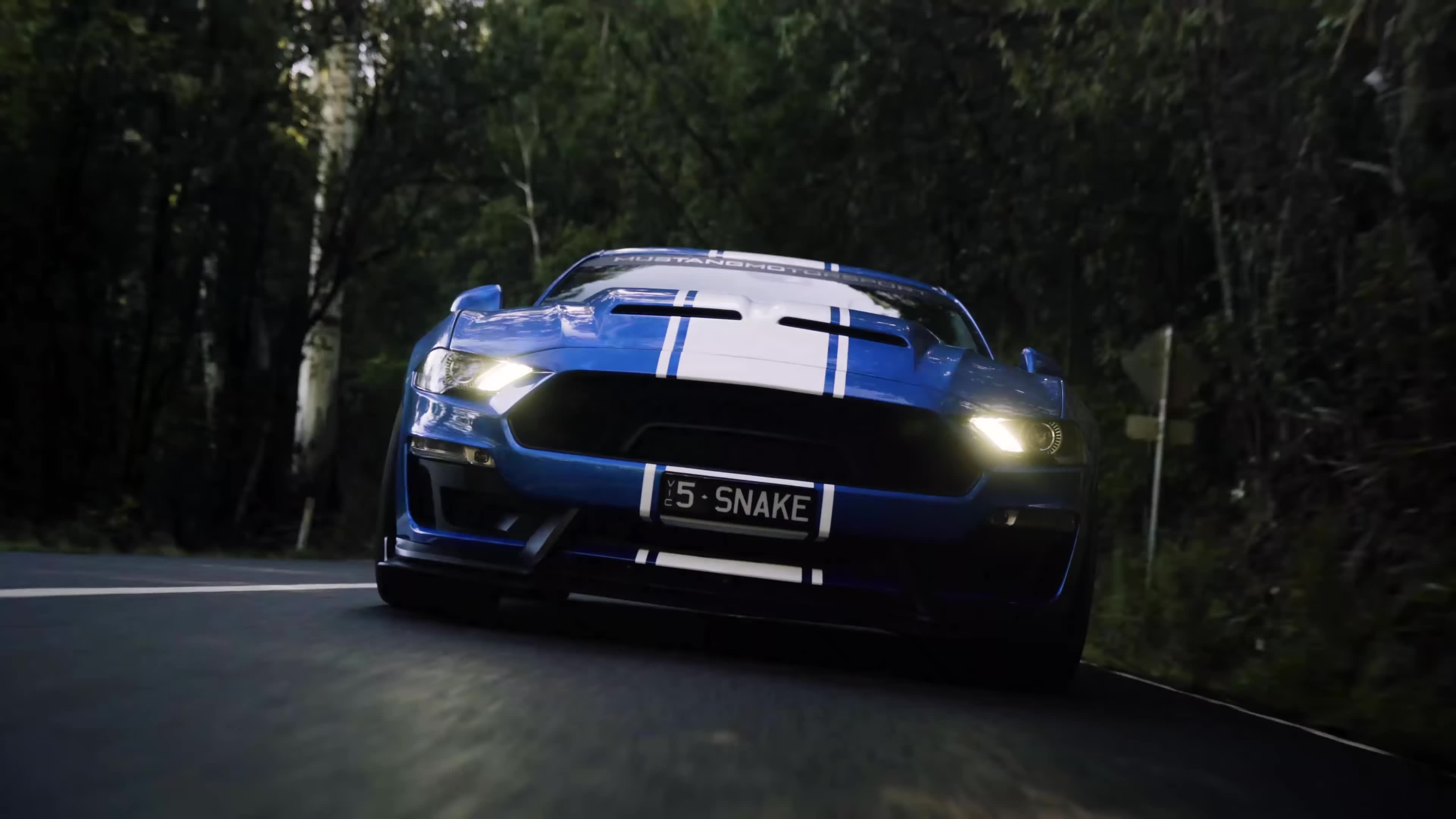 谢尔比超级蛇宽体改装过程