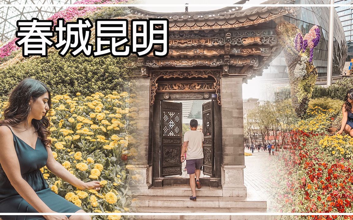 歪果仁来到昆明花之城惊呆了 | 云南Vlog1哔哩哔哩bilibili