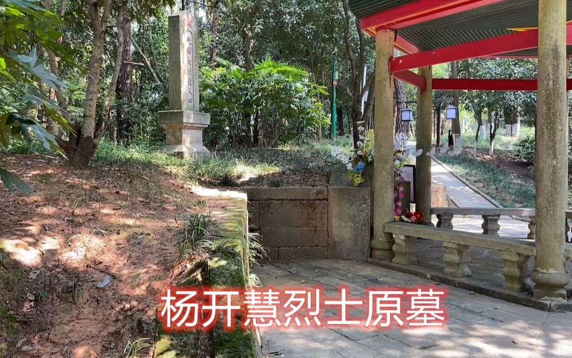 拜谒杨开慧烈士原墓缅怀烈士杨开慧光辉长照后人心