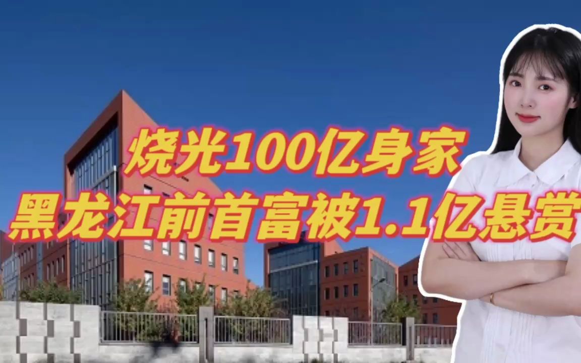 烧光100亿身家,黑龙江前首富被1.1亿悬赏哔哩哔哩bilibili