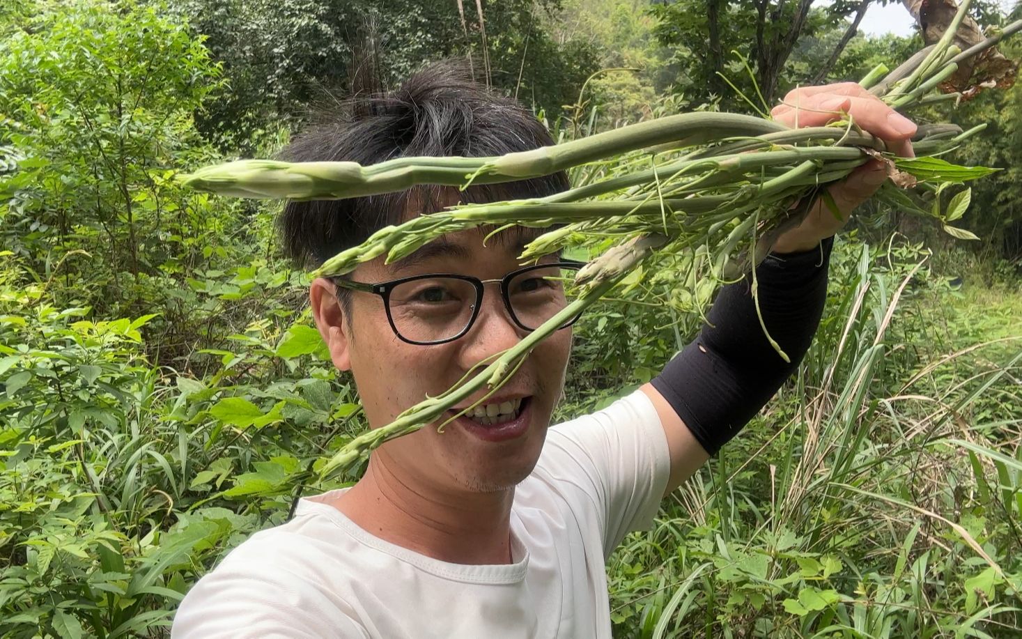 野菜中的天花板“牛尾蕨”,太喜欢这种野菜了,你的家乡有吗?哔哩哔哩bilibili