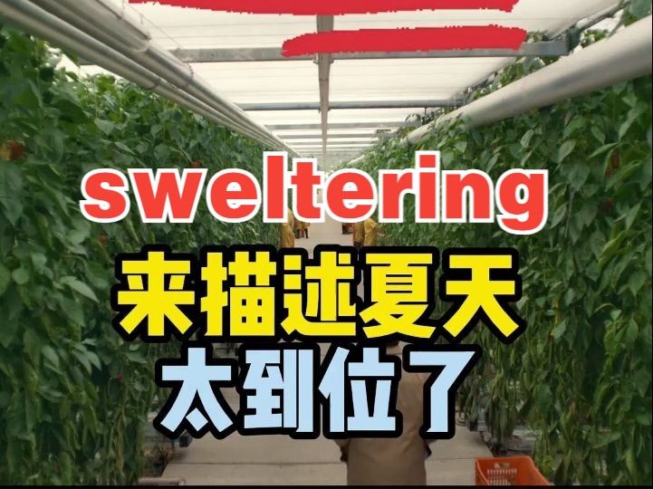 看电影学单词,“sweltering”用来描述夏天很到位哔哩哔哩bilibili