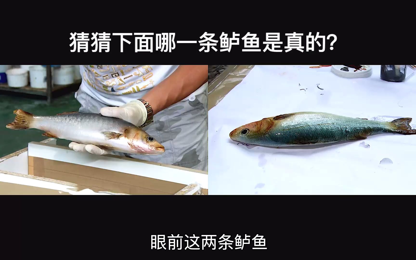 食物模型是如何制造的?2分钟带你了解,食物模型制造全过程哔哩哔哩bilibili