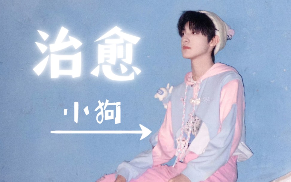 【TF家族|张泽禹】烦恼走开!治愈系小狗出现啦!哔哩哔哩bilibili