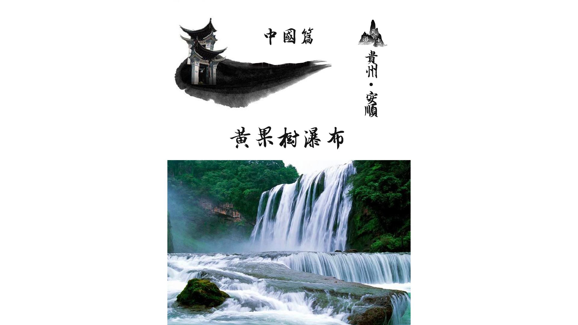 贵州安顺镇宁县!中华第一瀑!因广泛分布黄葛榕得名!