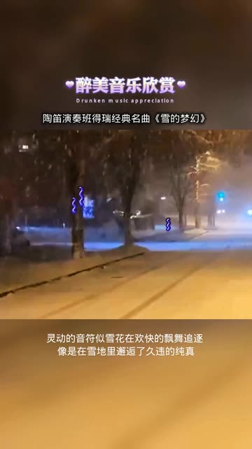 雪的梦幻陶笛演奏图片