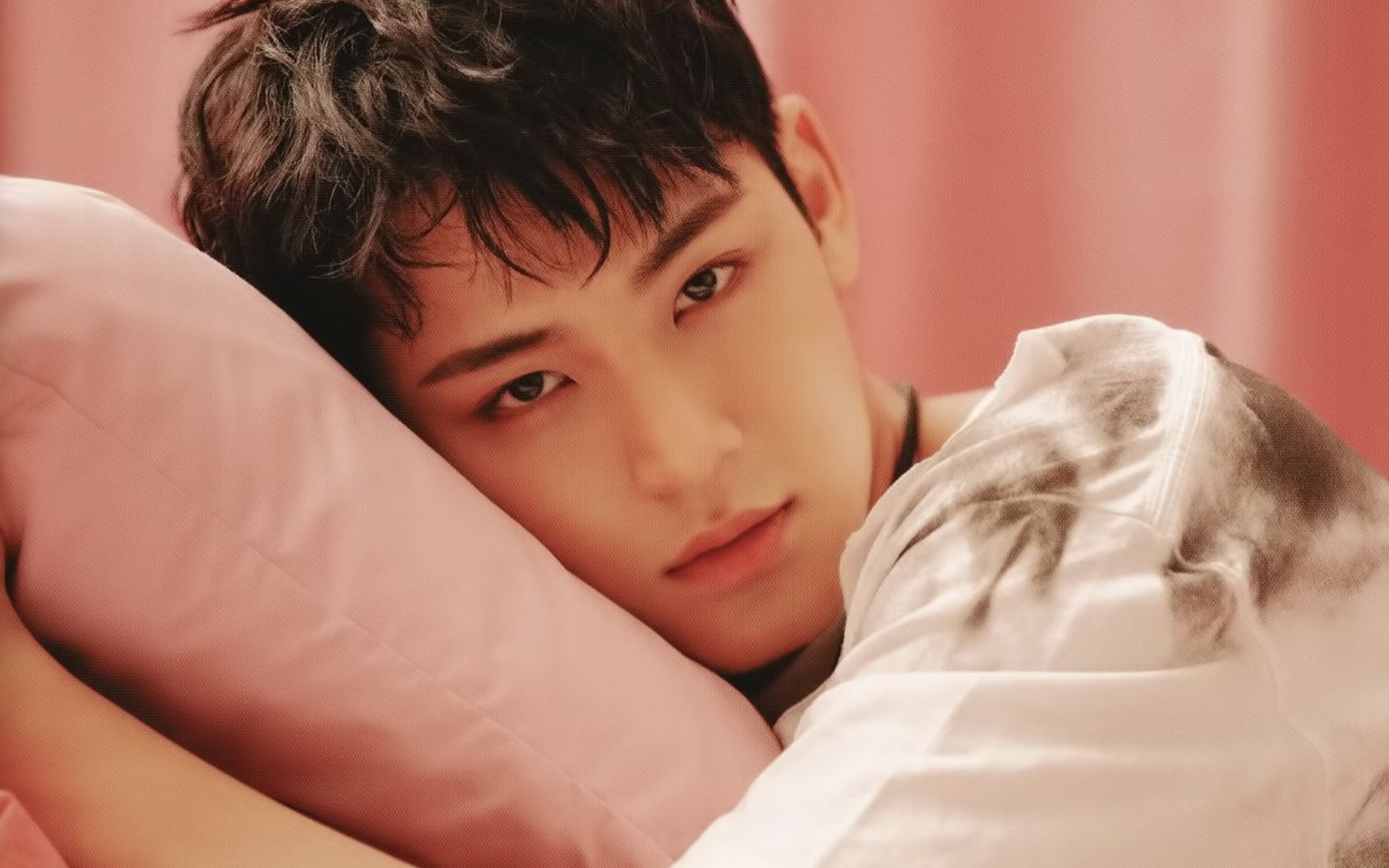 【seventeen/ 金珉奎 mingyu】fallin flower 自制直拍 mingyu focus