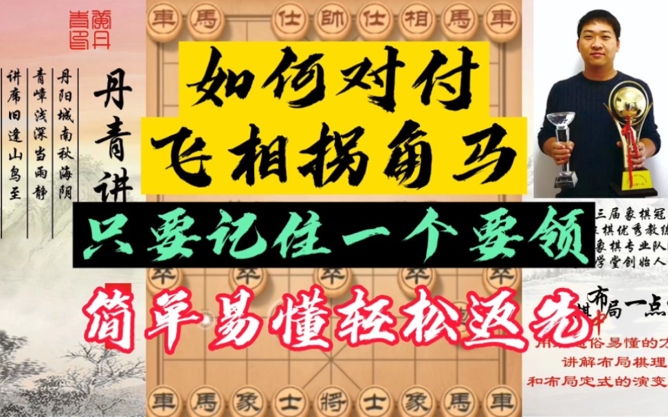 只要记住一个要领,轻松破解飞相!简单易学,轻松赢棋!如何快速提升象棋水平?如何系统学习象棋?少走弯路,真心教棋,带你上业九,不上业九不罢休...