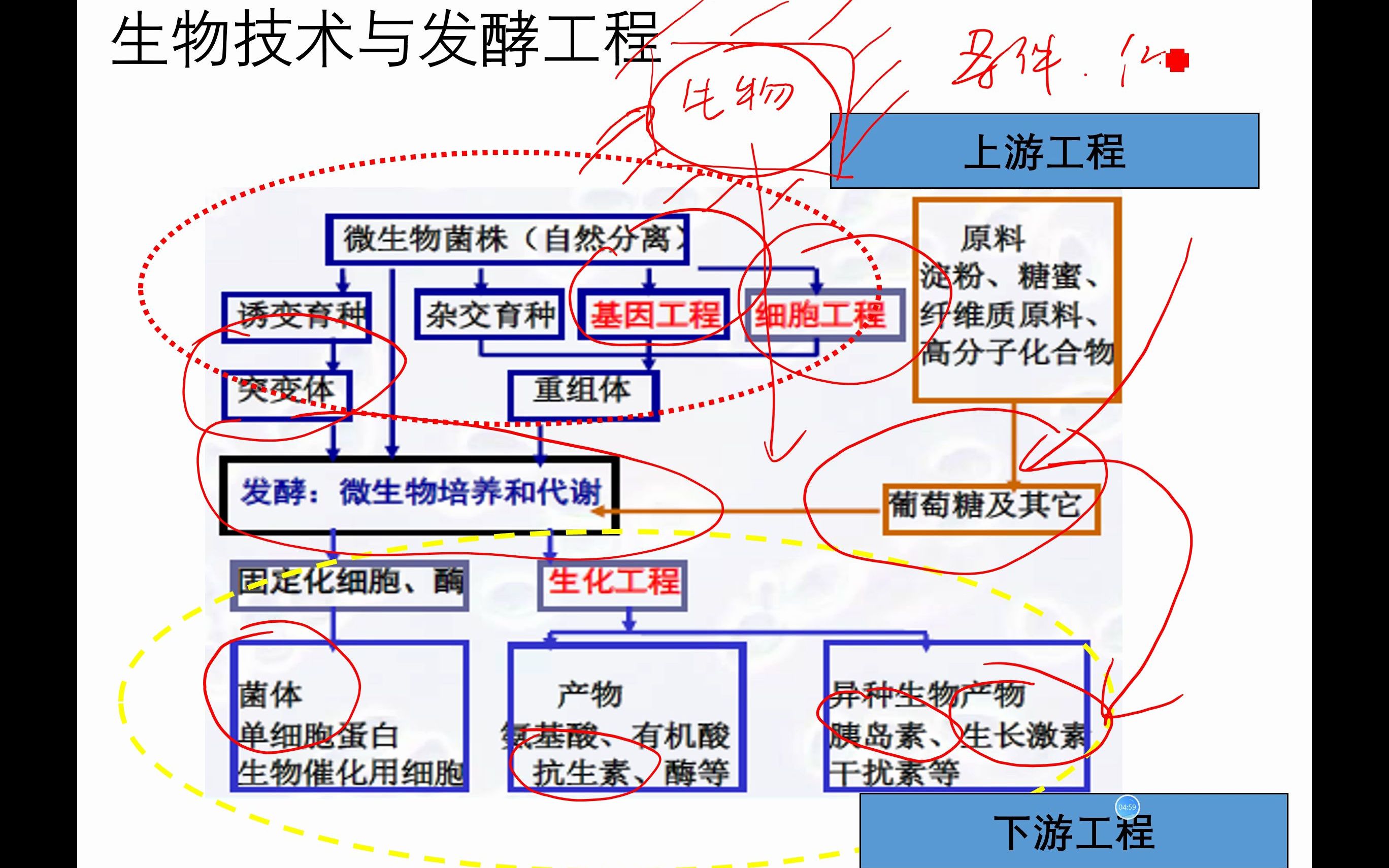 发酵工程哔哩哔哩bilibili