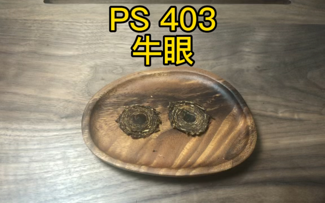 PS403 牛眼哔哩哔哩bilibili