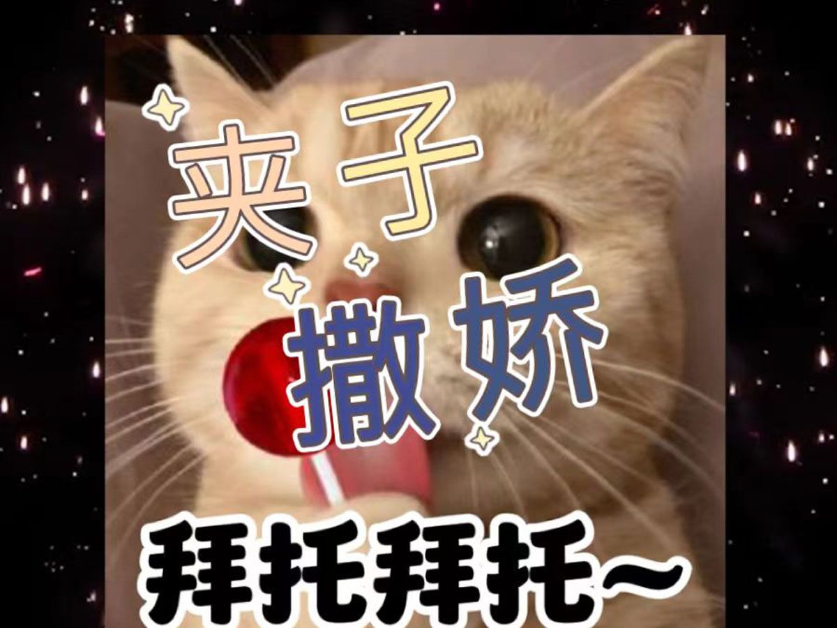 湖南夹子|撒娇软妹|撒娇八连|根本顶不住