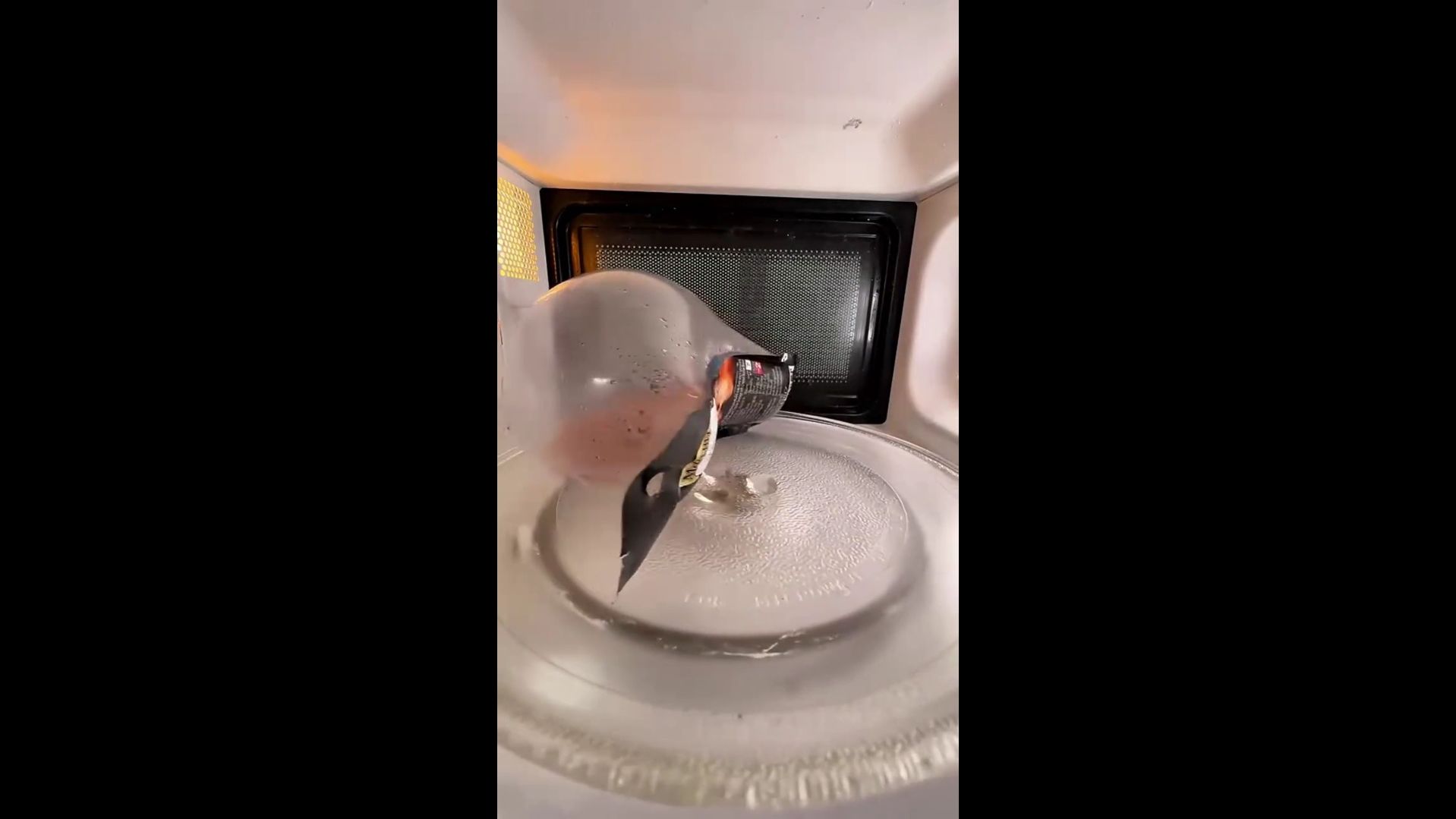 我不会告诉你们任何事