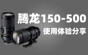 腾龙150-500mm使用体验｜索尼微单超长焦镜头怎么选｜索尼200-600mm VS 腾龙 150-500mm VS 适马150-600mm