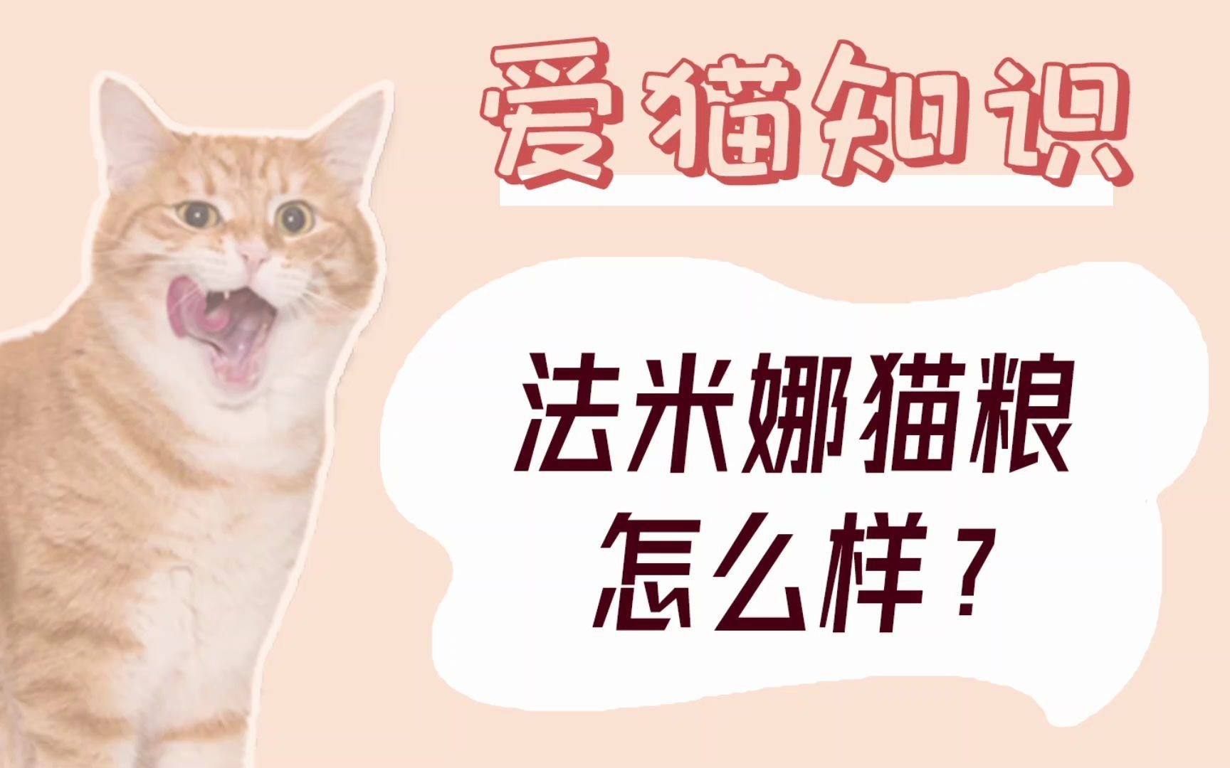 法米娜猫粮怎么样?哔哩哔哩bilibili