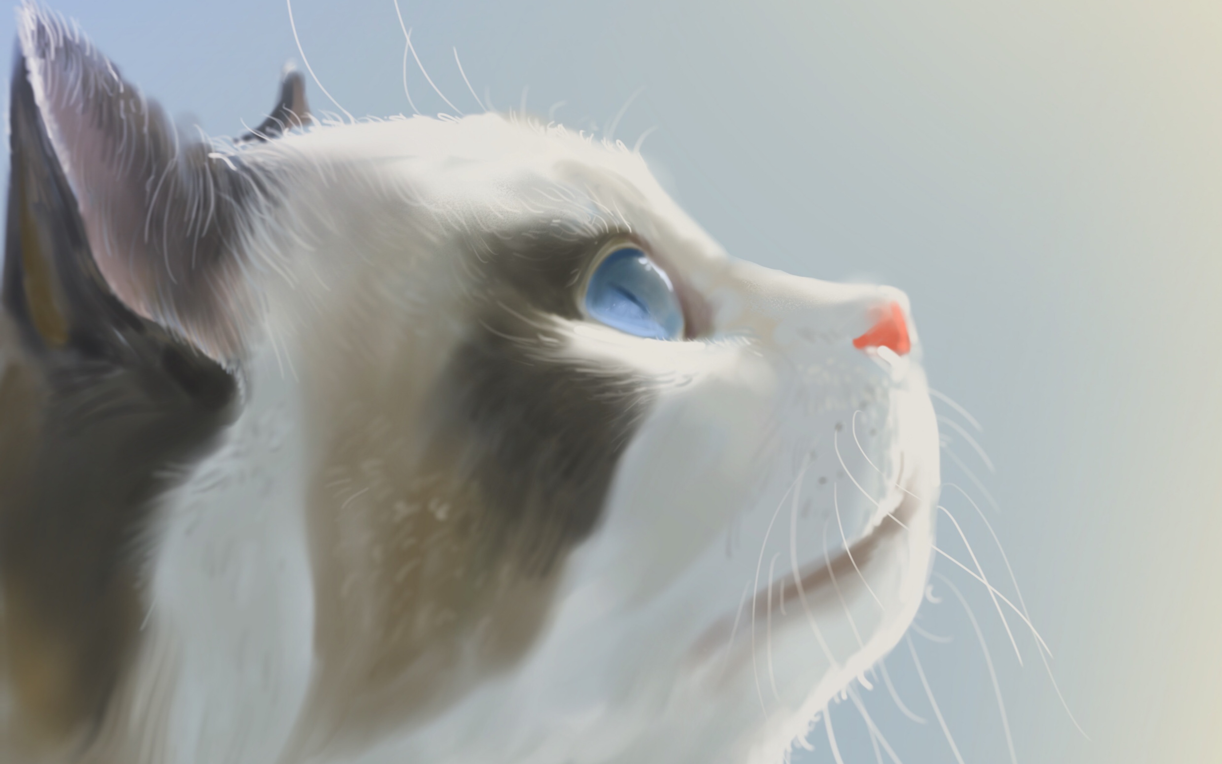 如何用〔ipadpro〕厚涂只猫:0_哔哩哔哩 (゜-゜)つロ 干杯~-bilibili