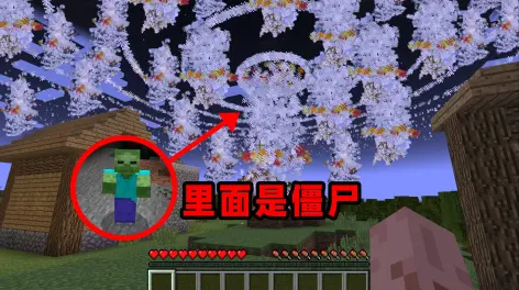 kl_qiqi_的动态-哔哩哔哩