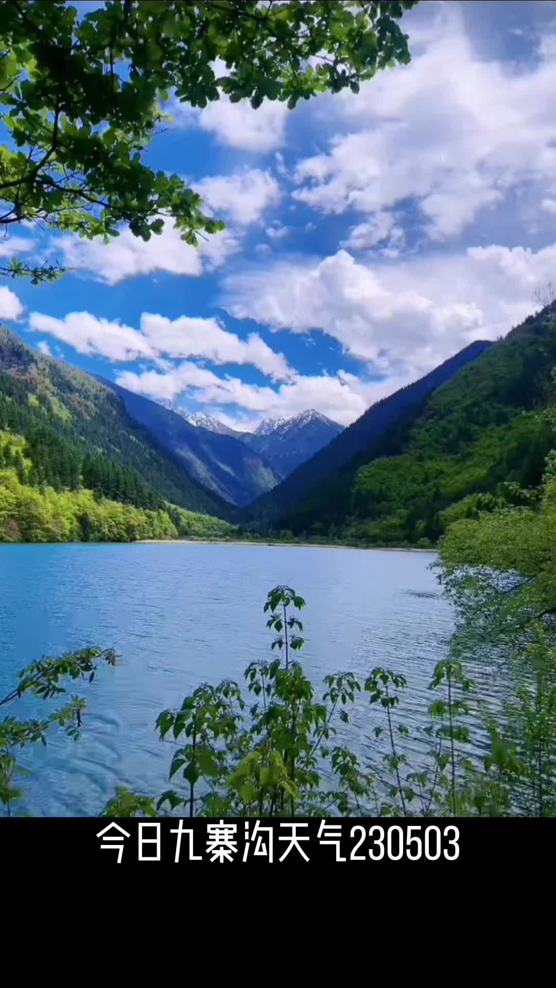 今日九寨溝天氣230503