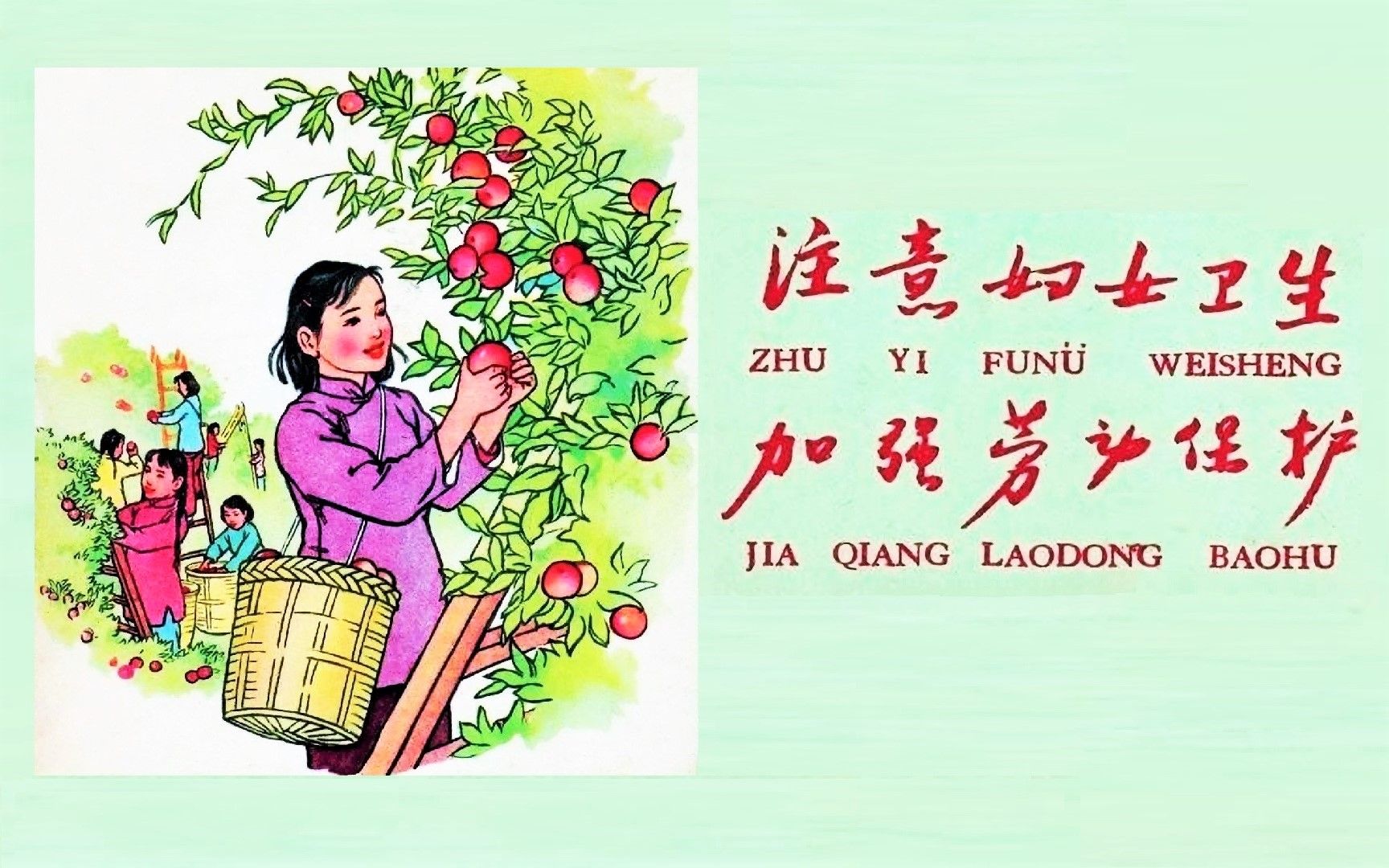 1962年反对月经羞耻 倡导经期孕期照顾的画册《注意妇女卫生 加强劳动保护》哔哩哔哩bilibili