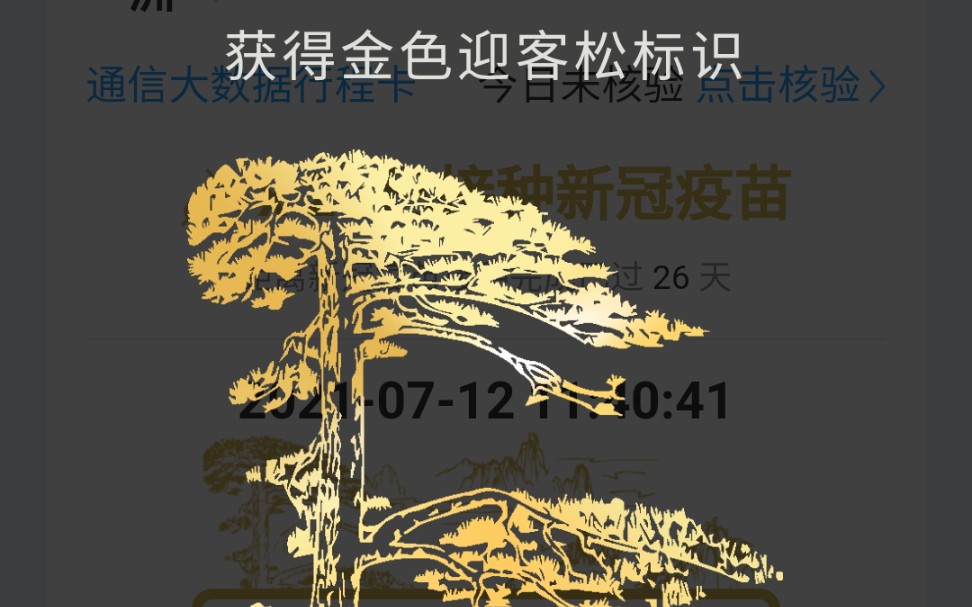 喜提金色迎客松安康码_哔哩哔哩_bilibili