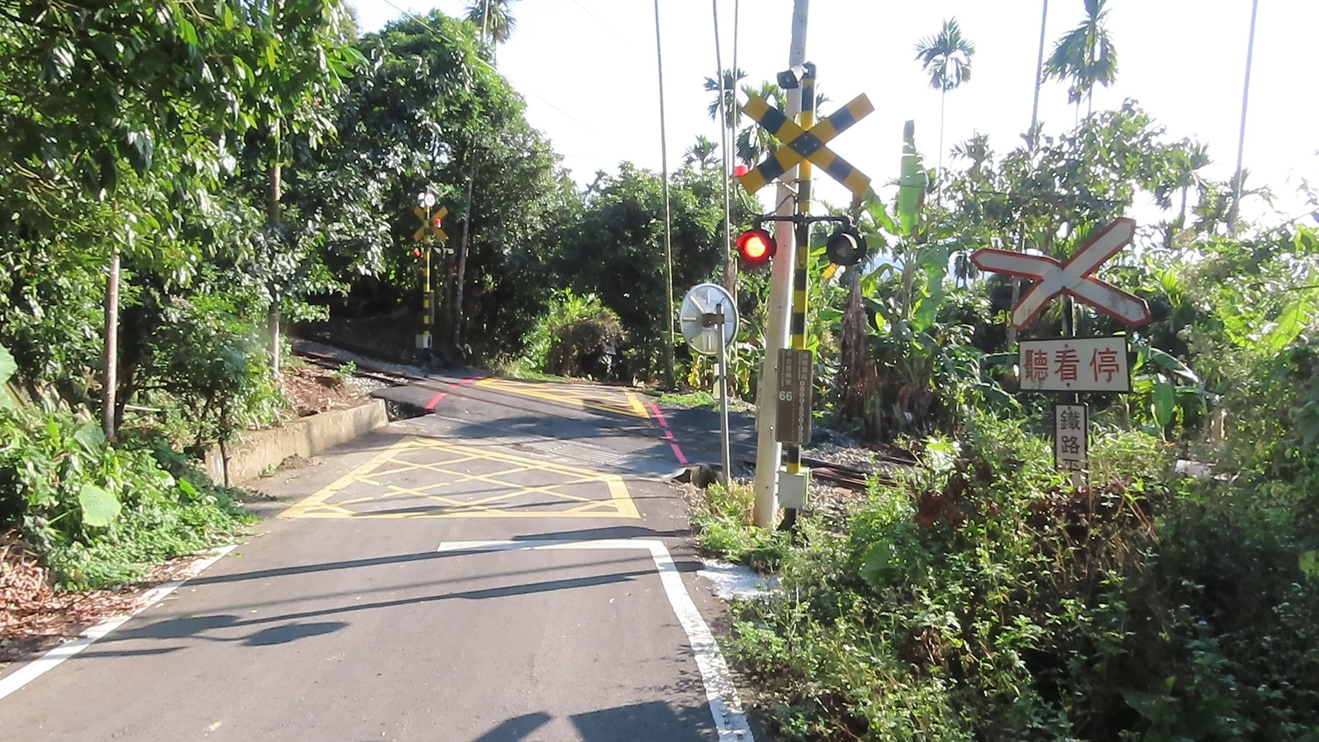 阿里山森林鐵路第66號平交道