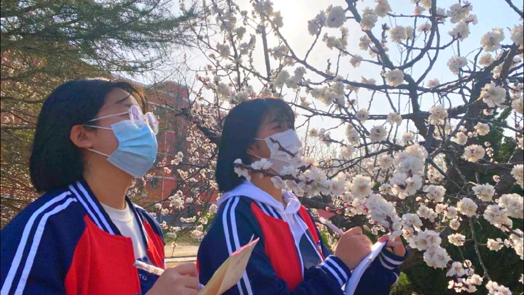 [图]衡水市汇龙中学高中部 春日序章，阳光写生，校园花已开，共赏欢声笑颜。