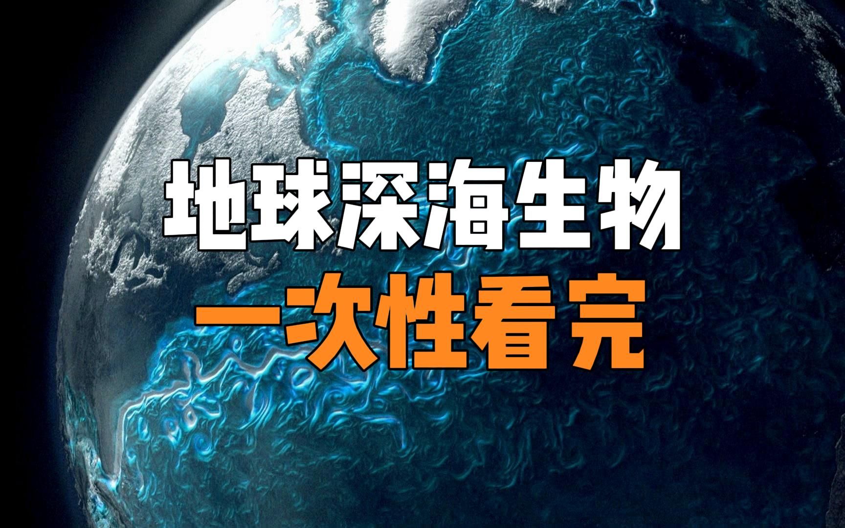 [图]地球海洋不同深度动物排名，生命转瞬即逝，而又生生不息，献给每一位存在的生灵